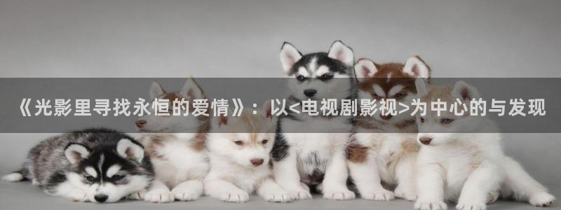 探花系列视频在线