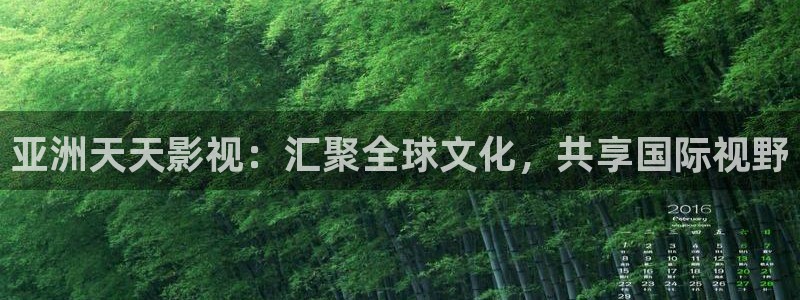 探花视频在线观看在线播放