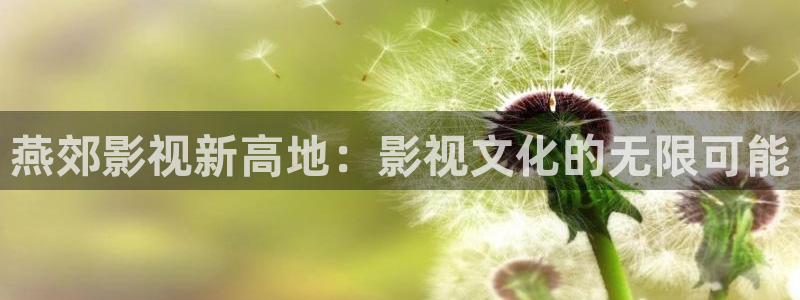 探花区在线视频