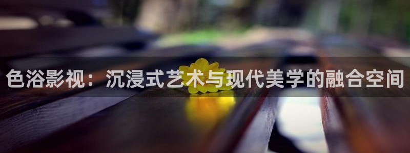 探花观看