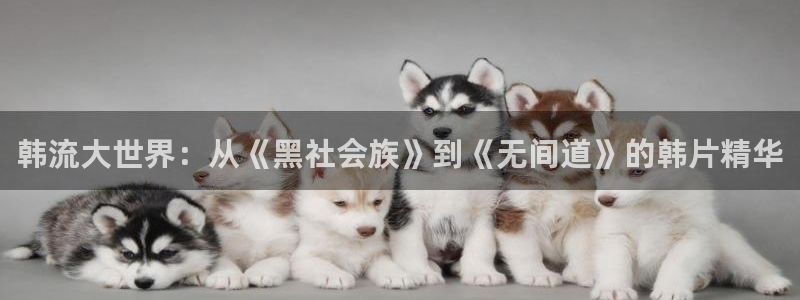 探花视频精彩