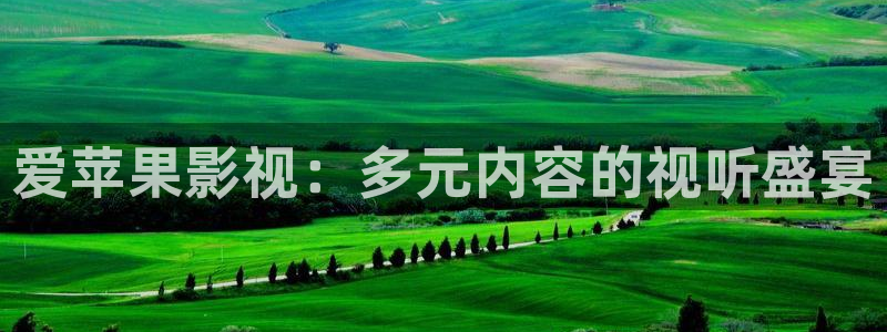 探花视频入口