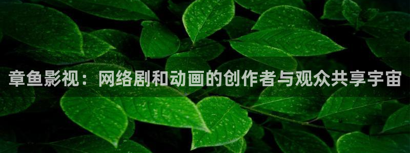 极品探花视频