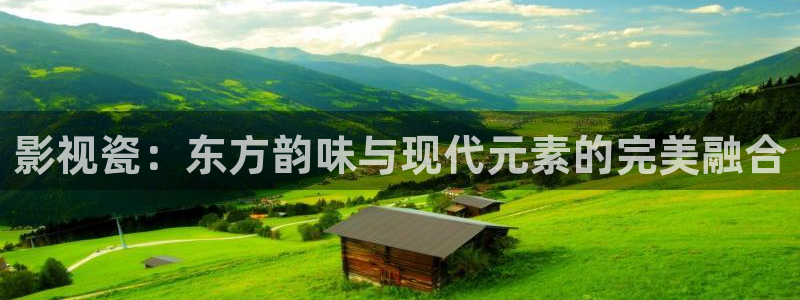 探花在线观看免费