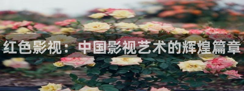 下载探花视频