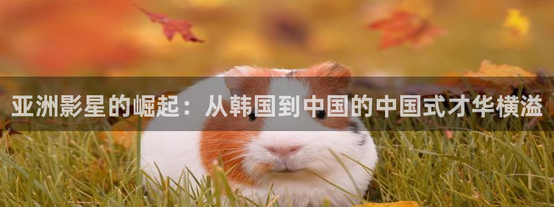 探花视频在线免费播放