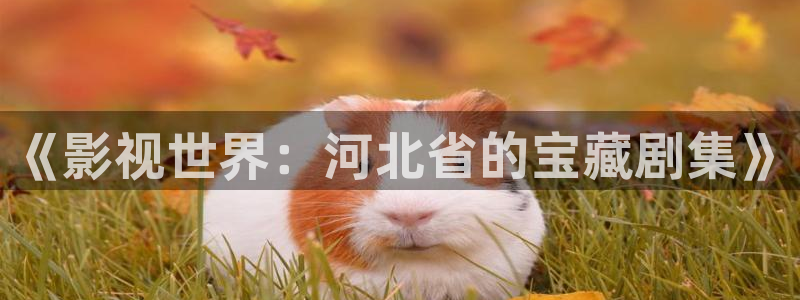 探花系列在线视频